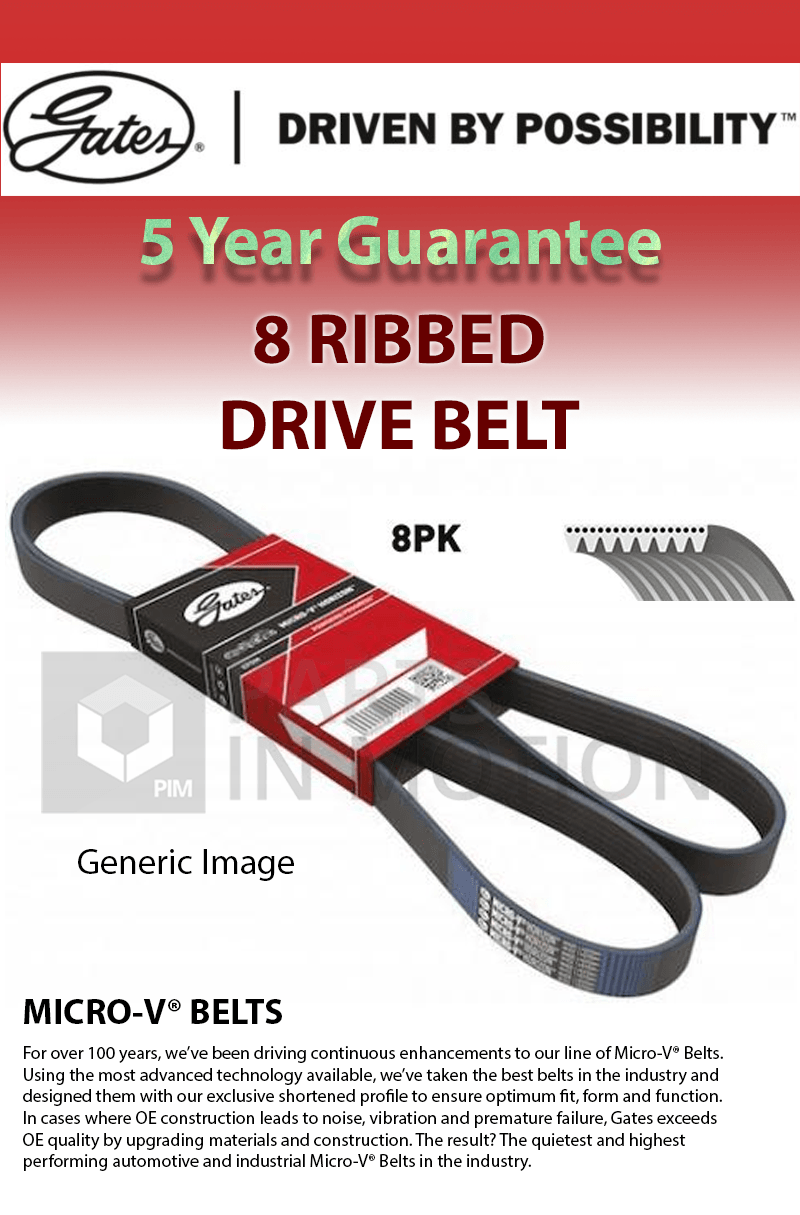 8 Rib Multi V Drive Belt fits MAZDA 3 BL 2.2D 09 to 14 R2AA Gates ...