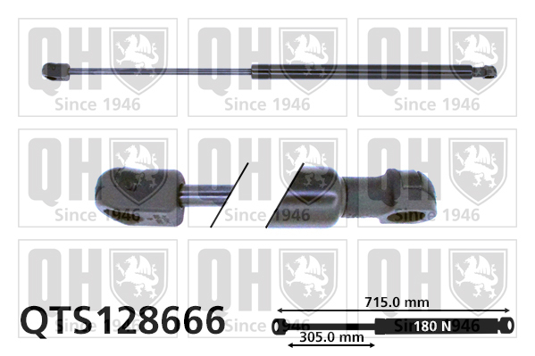 QH QTS128666 Gas Spring