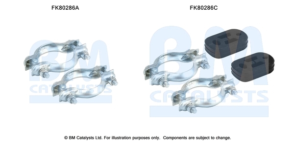 BM Catalysts FK80286B